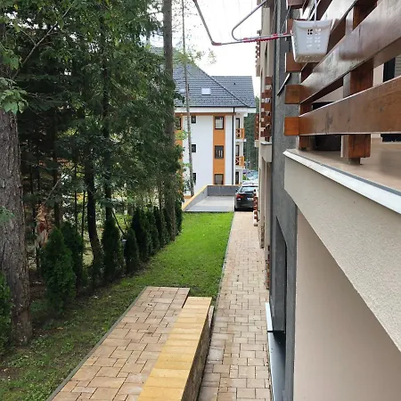 Lux Stella * Zlatibor