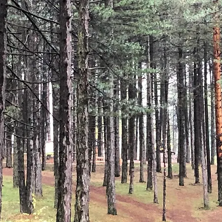 Διαμέρισμα Lux Stella Ζλάτιμπορ