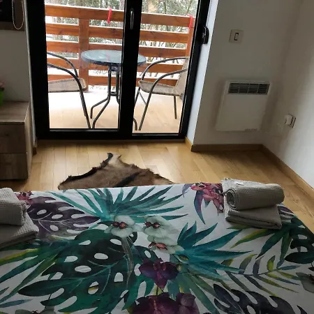 Lux Stella * Zlatibor